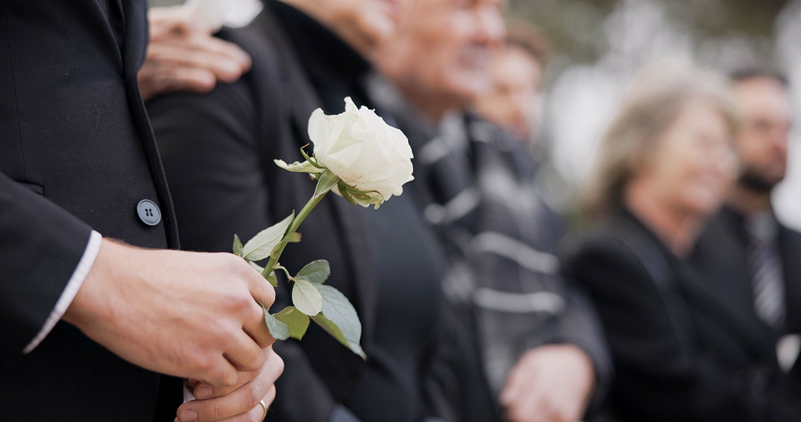 Hands, rose and a person at a funeral in a cemetery in grief while mourning loss at a memorial service. Death, flower and an adult in a suit at a graveyard in a crowd for an outdoor burial closeup.